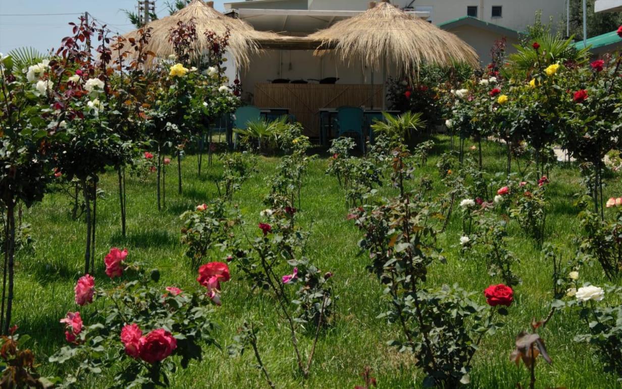 Summer Land Borsh Exterior foto